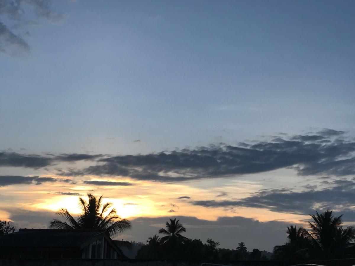 Resident View Homestay كاندي المظهر الخارجي الصورة