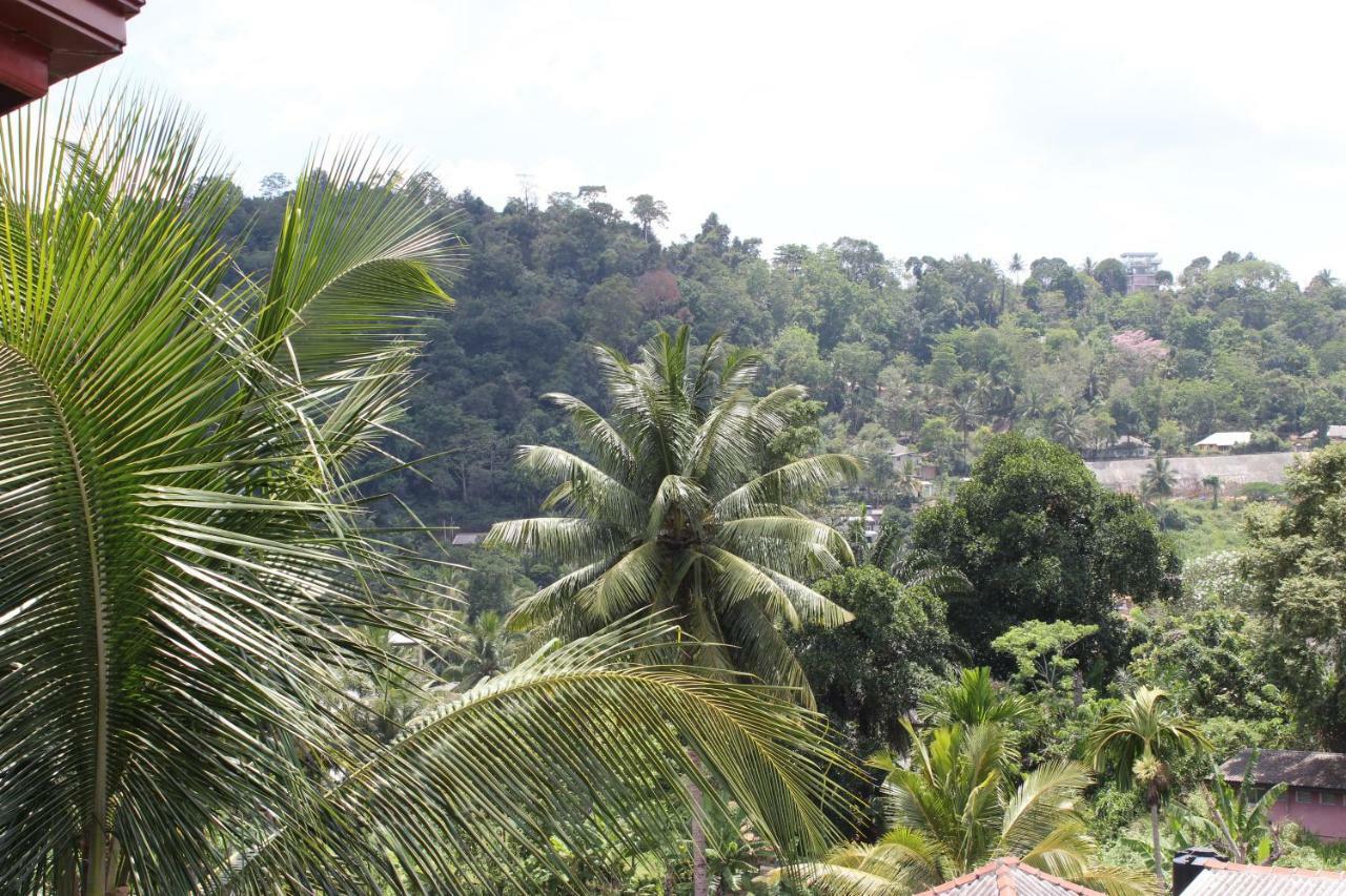 Resident View Homestay كاندي المظهر الخارجي الصورة