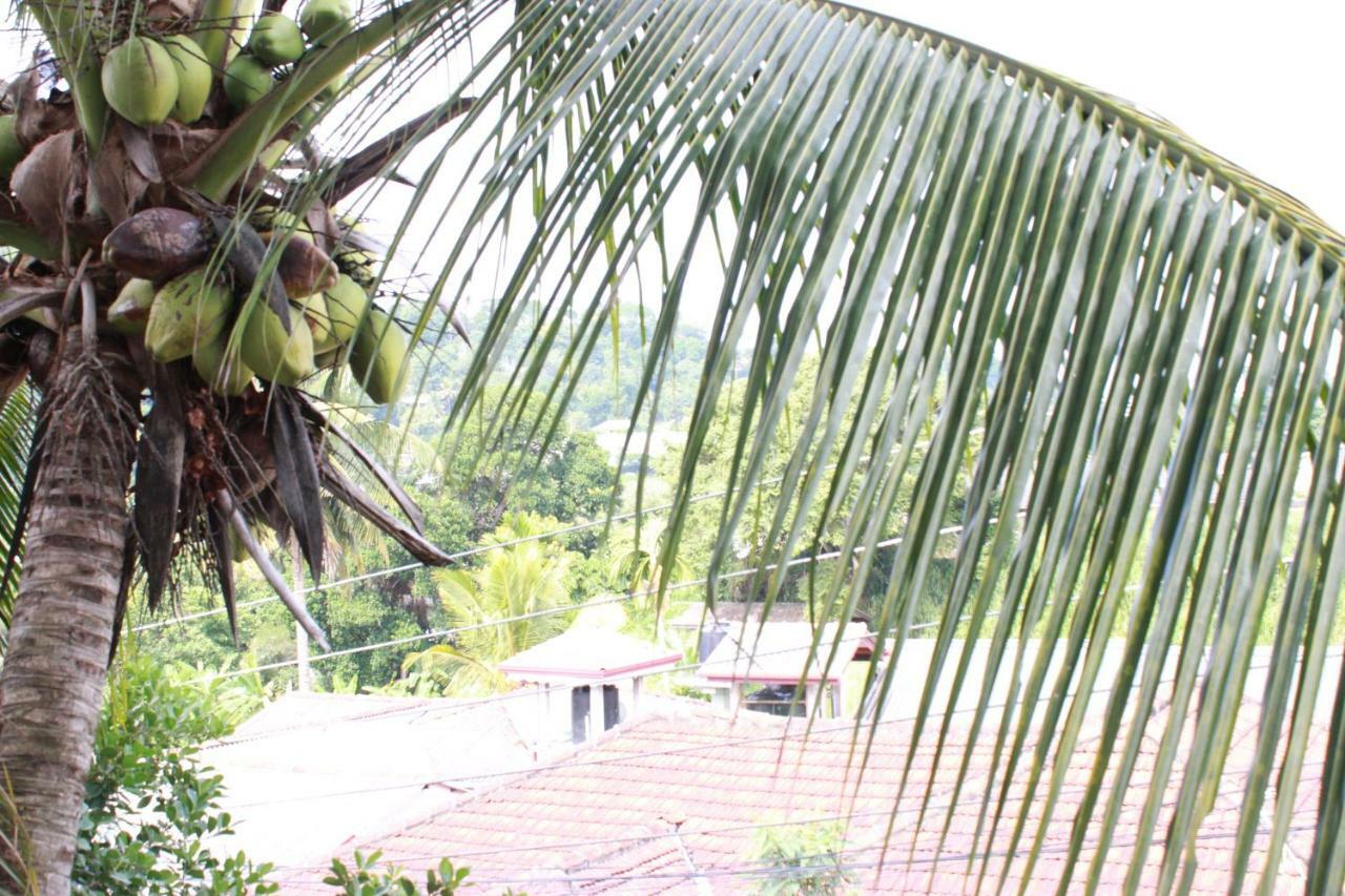 Resident View Homestay كاندي المظهر الخارجي الصورة